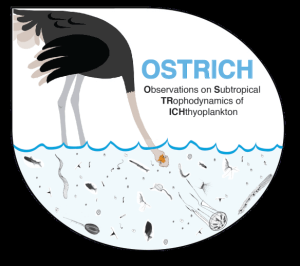 ostrich-logo_blackbck_greybird